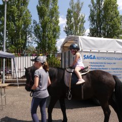 Reiten mit der SAGA Reitschule Felsalbtal