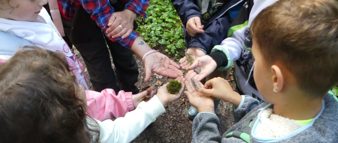 Alle zeigen ihre gefundenen Waldschätze bei "Raus in die Natur"