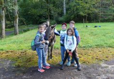 Die Teilnehmer des Workshops "Raus in die Natur" mit dem Esel Die Teilnehmer des Workshops "Raus in die Natur" mit dem Esel