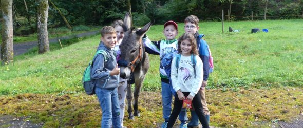Die Teilnehmer des Workshops "Raus in die Natur" mit dem Esel Die Teilnehmer des Workshops "Raus in die Natur" mit dem Esel