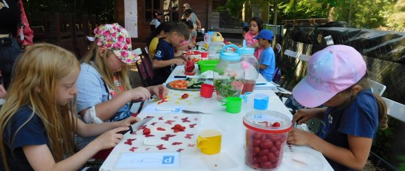 Kinder schneiden Gemüse beim Räuberwochenende