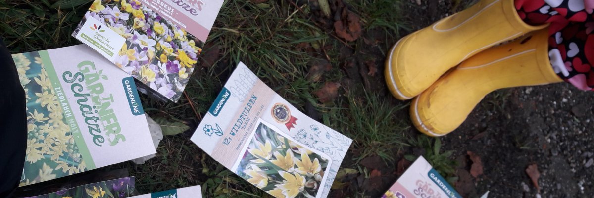 Ein Schreibtisch mit vielen Büchern.
