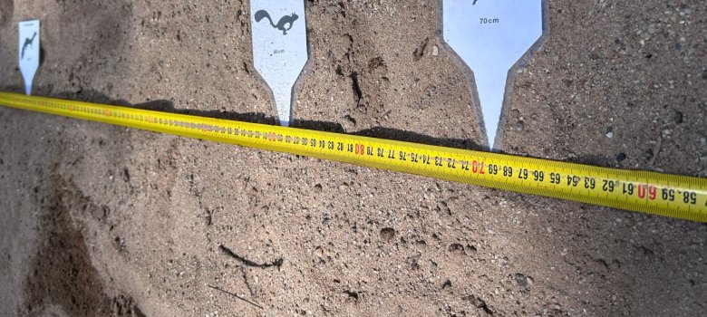 Tiere entdecken bei "Natur verbindet"