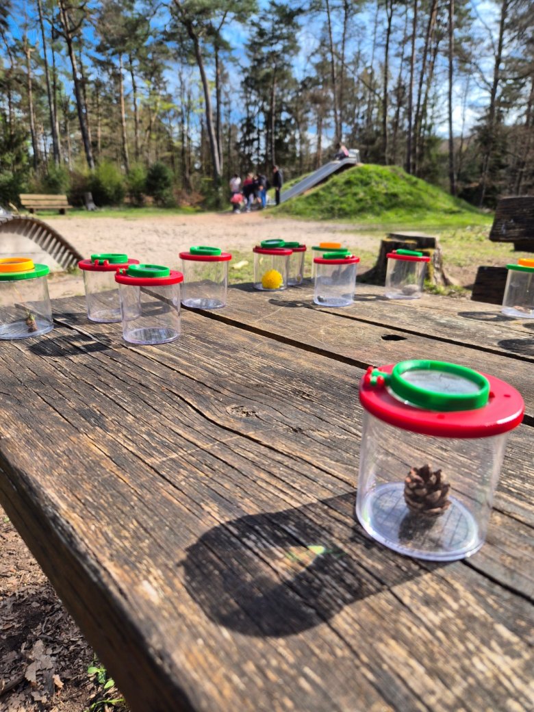 Die Natur mit Hilfe von Becherlupen entdecken beim Projekt "Naturfreunde"