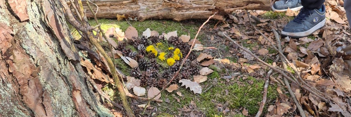 Ein Baum wird geschmückt beim Projekt "Naturfreunde"
