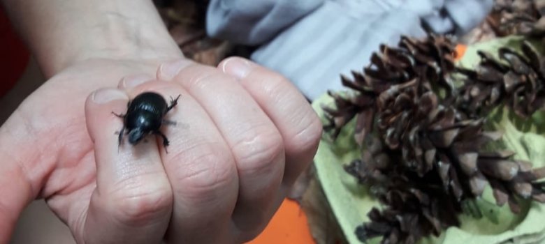 Natur entdecken beim "Räuberwochenende"