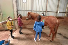 Die Gewinnerinnen kamen den Isländern ganz nah Die Gewinnerinnen bei der Pflege eines Isländers