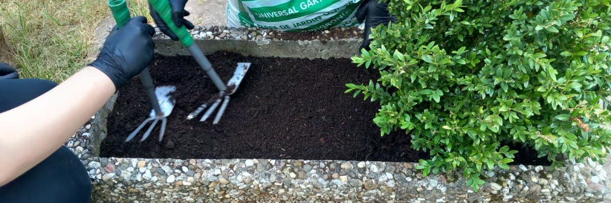 Beim Bepflanzen eines Beets im Rahmen des Taschengeldprojekts